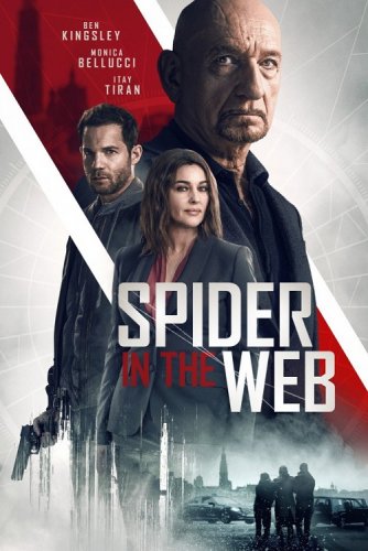 Старые шпионские игры / Spider in the Web (2019) BDRip 1080p от селезень | iTunes