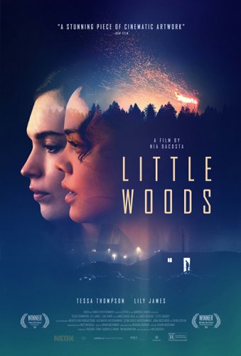 Лесок / Little Woods (2018) WEB-DL 1080p от селезень | HDRezka Studio